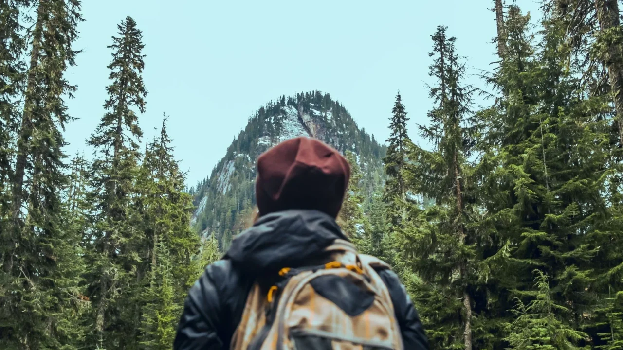 Mountain Forest Hiking