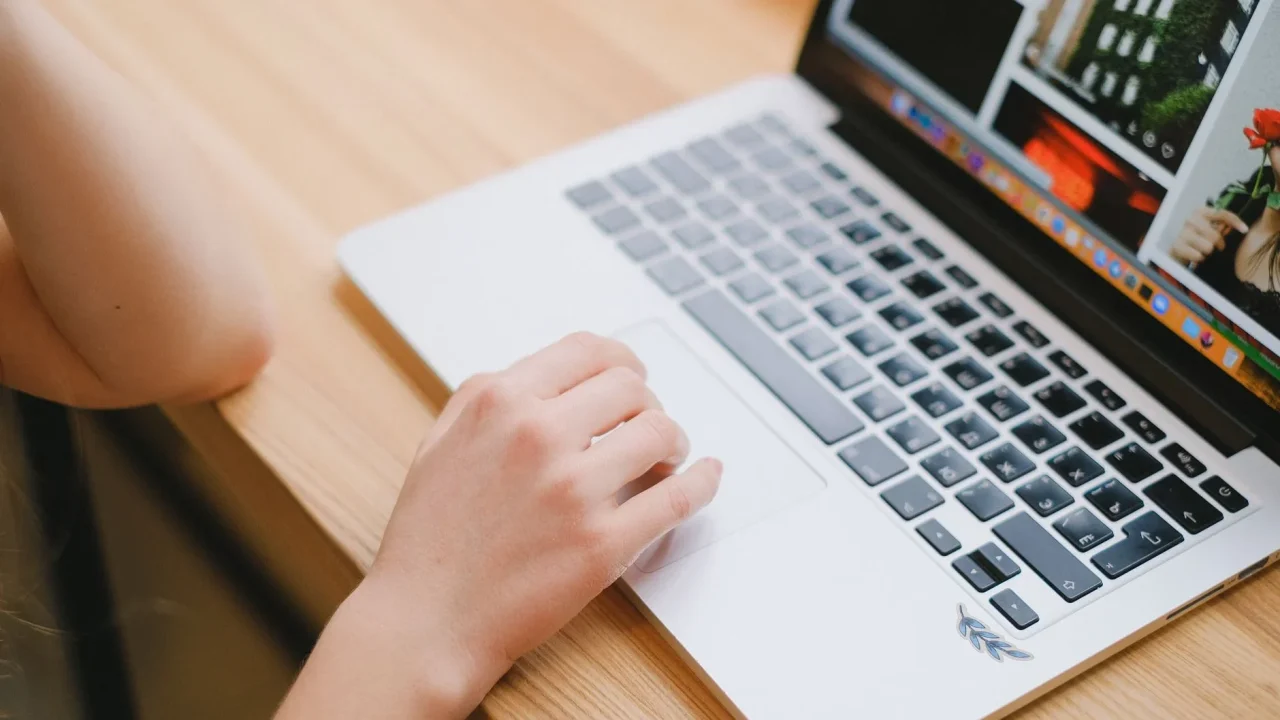 Person Searching Laptop