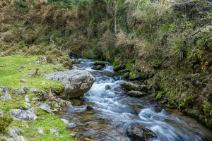 Nature's Call: Inspiring Outdoor Adventures