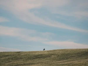 Canada: Vastness And Friendliness For Lone Travelers