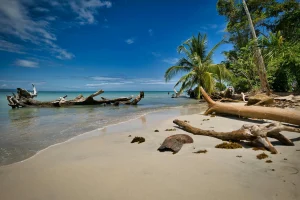 Costa Rica: Pura Vida And Eco-Adventures For One