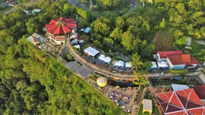 Immersive Culinary Activities