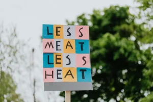 Activities And Entertainment For Less