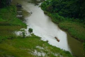 Navigating Unmet Expectations