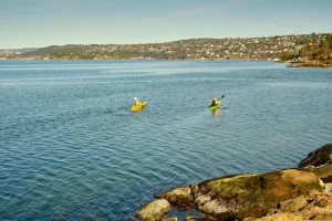 Coastline Kayak