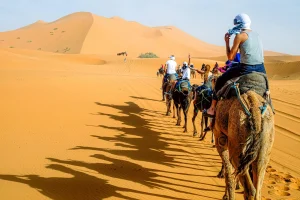 Desert Dunes Camel Trek