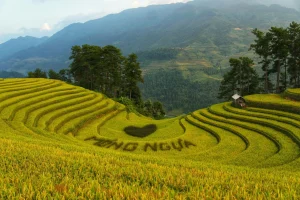 Ha Long Bay Hoi An City Sapa Rice Fields