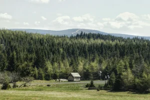 Mountains Forest Hiking Cabin