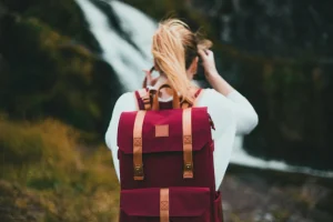 Solo Traveler Backpack