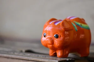Travel Budget Piggy Bank