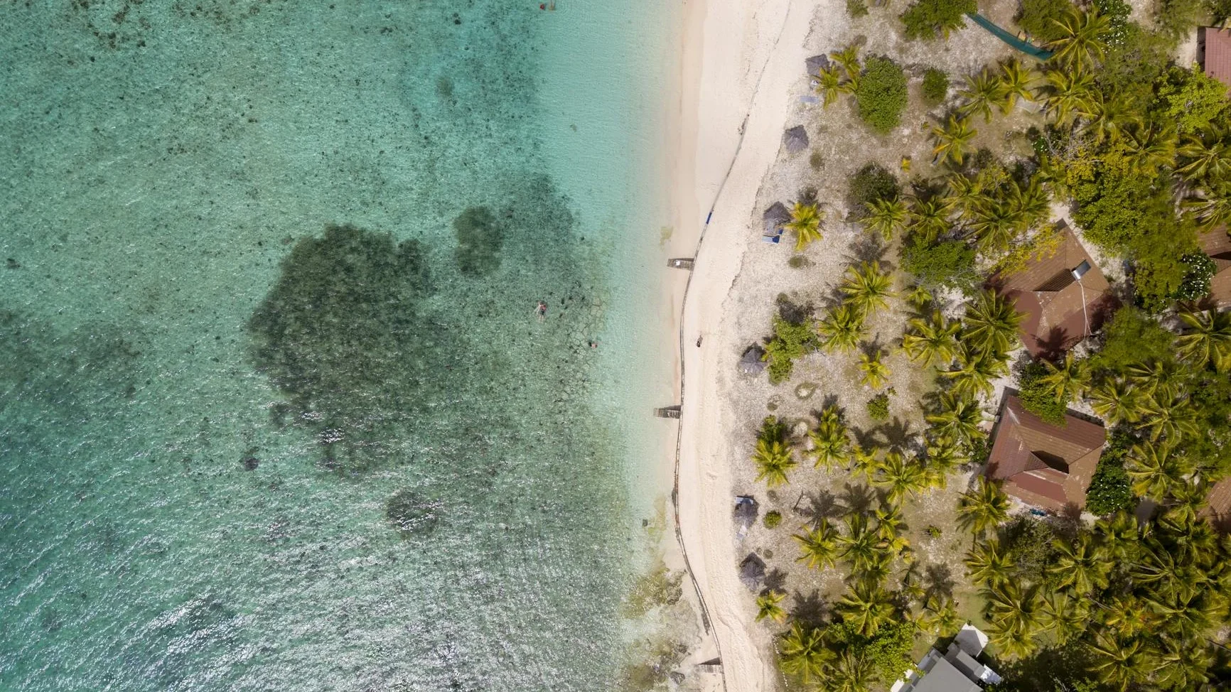 Best Tropical Islands to Visit for Your Dream Getaway