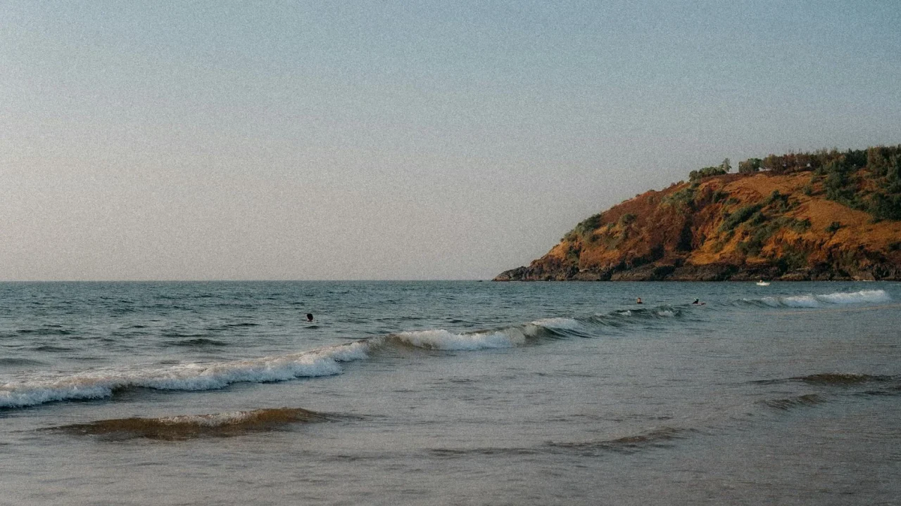 Gokarna Beach India Coastline Palm Trees