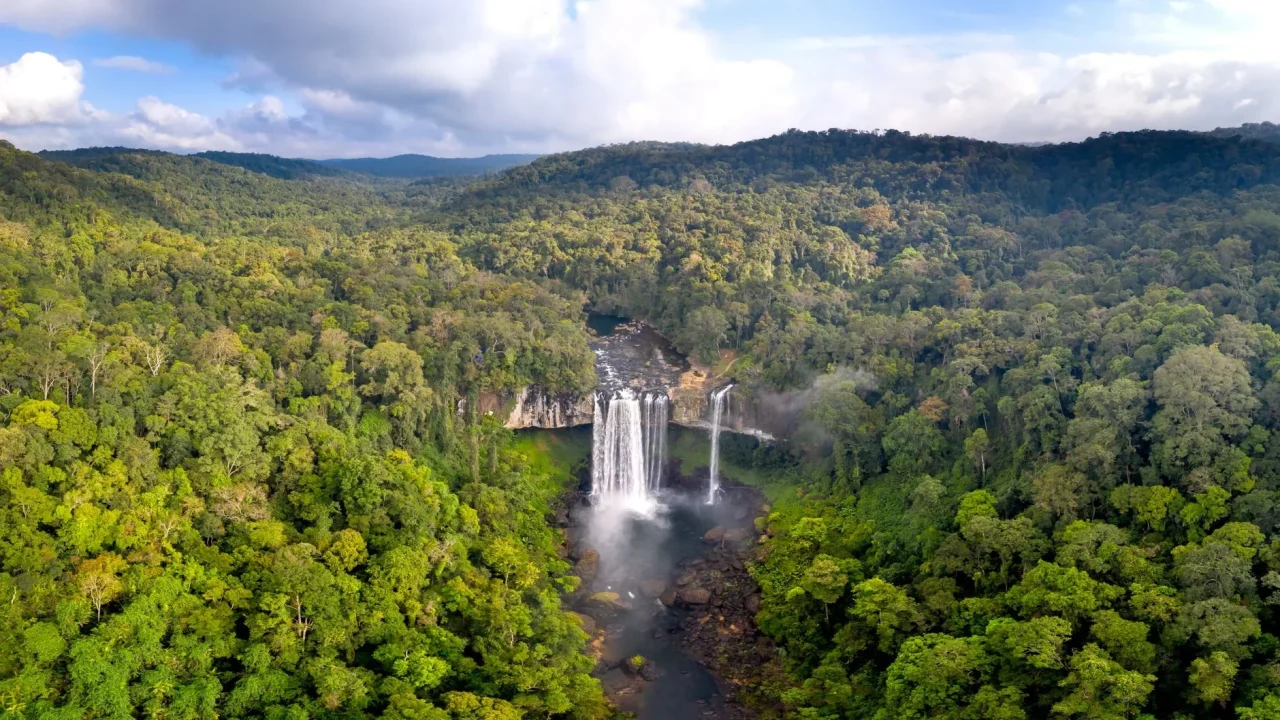 Green Travel Eco Friendly Nature Conservation