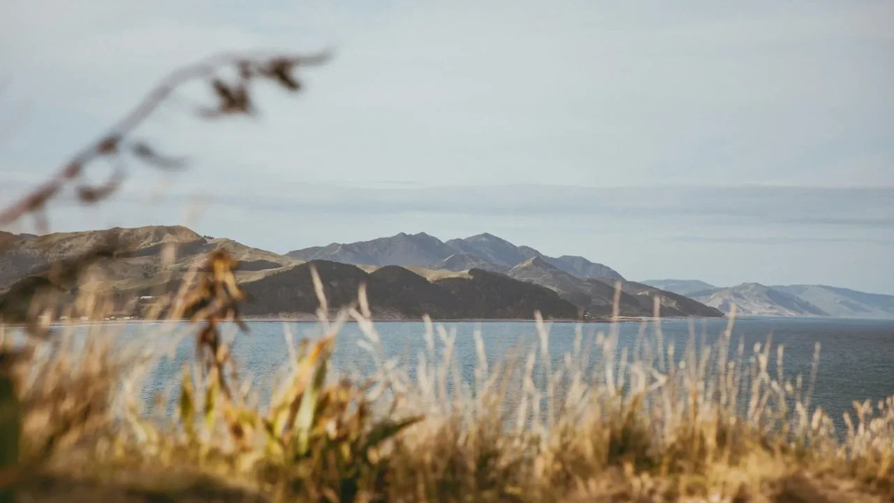 New Zealand Mountains Australian Beach City Skyline