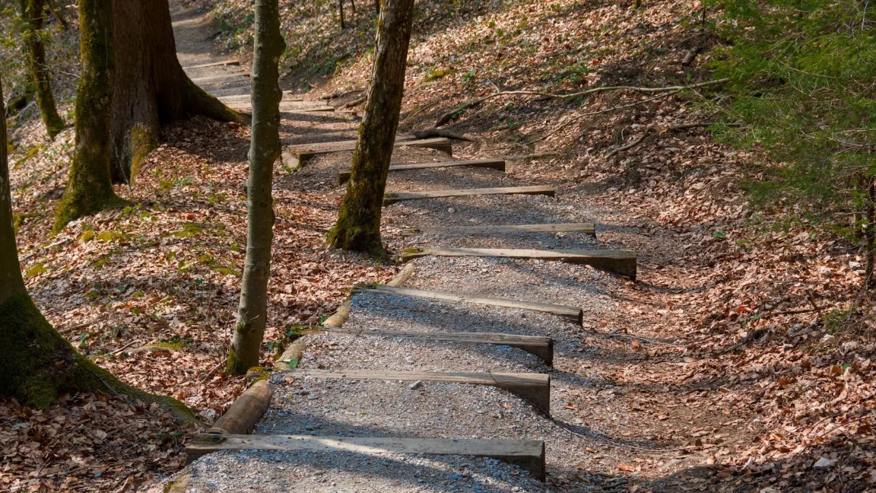 Free Museum Hiking Trail