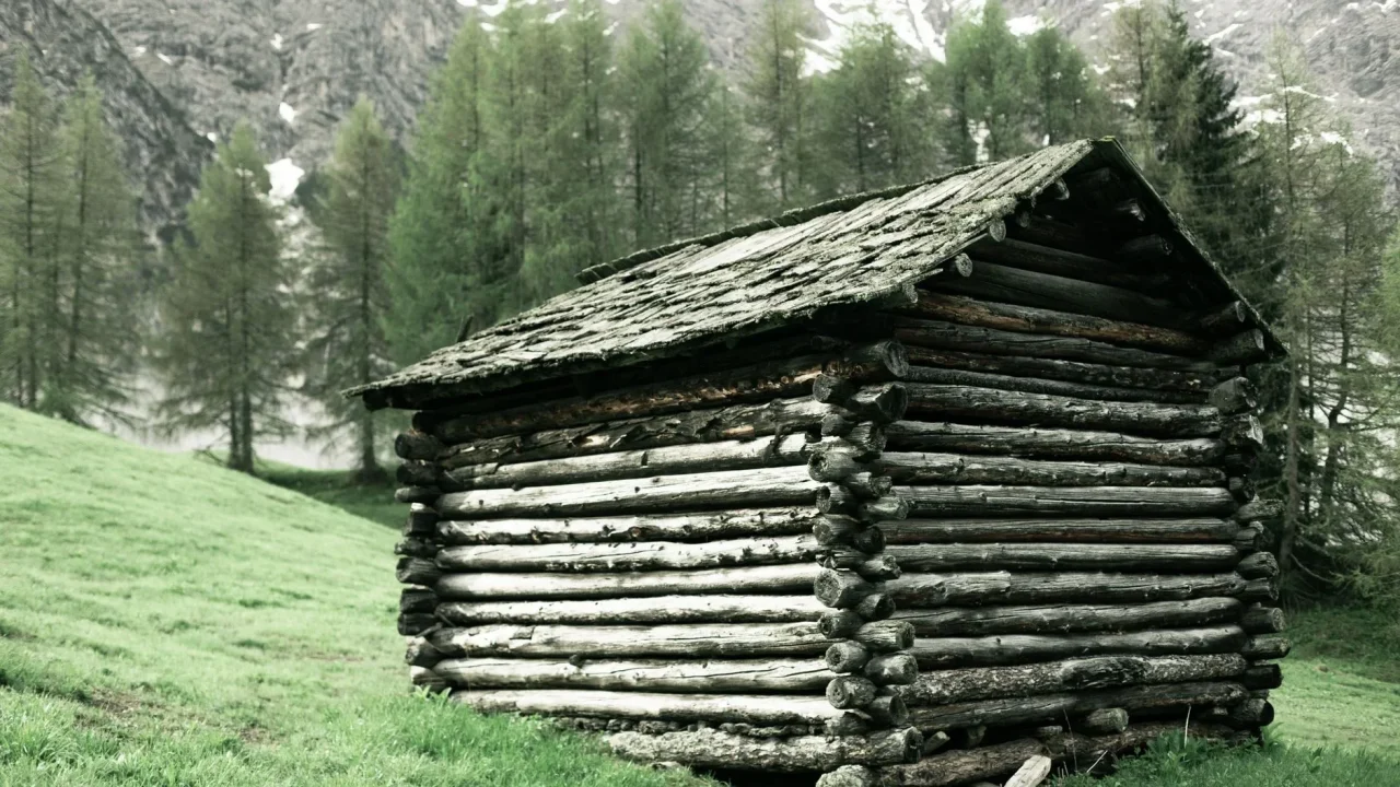 Mountain Forest Cabin