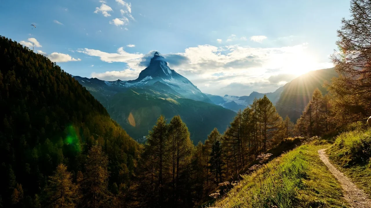 Mountain Peak Forest Path