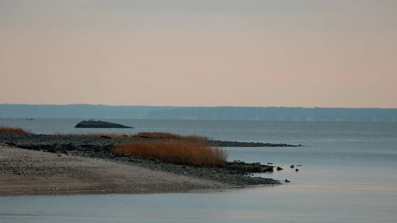 Quiet Beach Serene Landscape